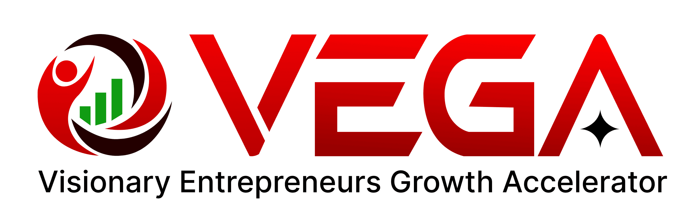 VEGA, Visionary Entrepreneurs Growth Accelerator