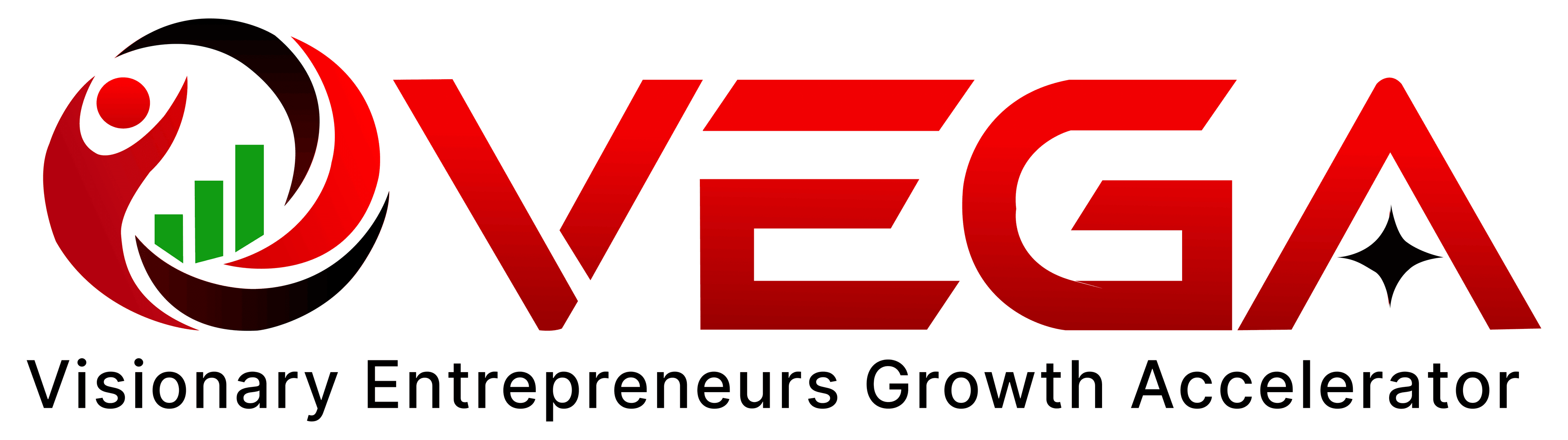 VEGA, Visionary Entrepreneurs Growth Accelerator